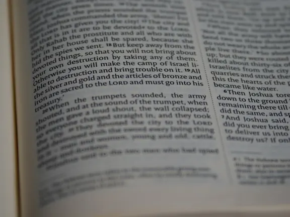 Hejgo Kasyno Wsparcie